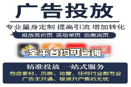 百度优化推广案例剖析：某电商平台的成功之路